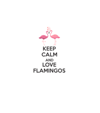 KEEP CALM and love flamingos dark model alb pe tricou