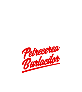 petrecerea burlăcițelor model nisipiu pe tricou