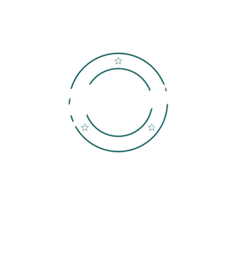 patinaj model turcoaz pe tricou
