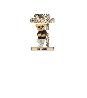 Teddy cel cool iunie model negru pe tricou