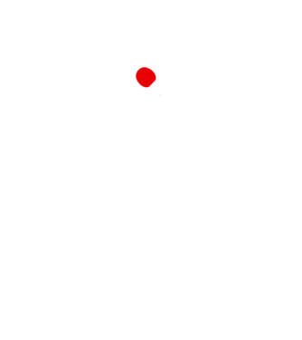 You just got served model turcoaz pe tricou