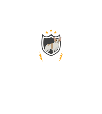 serviciu de securitate - securitate - persistență - 24 de ore pe zi model negru pe tricou