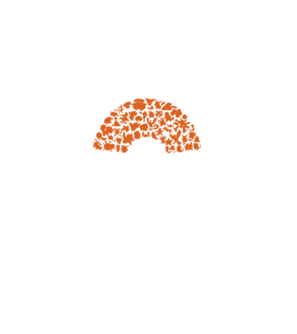 Pokeball model negru pe tricou