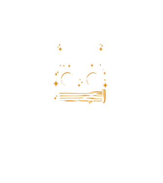 Cel mai profesor director model negru pe tricou