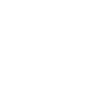 LOVE Havanese model negru pe tricou