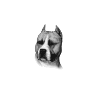 Staffordshire Terrier model alb pe tricou