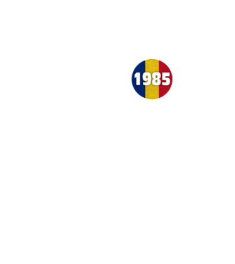 Made in 1985 model turcoaz pe tricou
