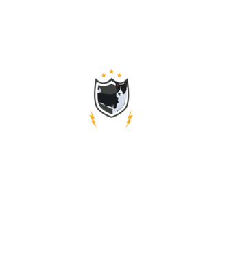 serviciu de securitate - securitate - persistență - 24 de ore pe zi model negru pe tricou