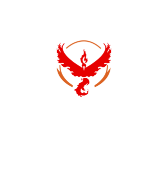Valor team logo model alb pe tricou