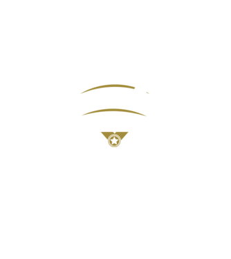 cel mai bun tată grădinar model negru pe tricou