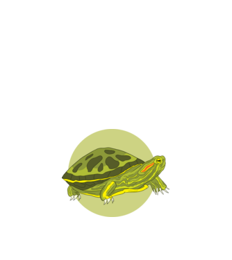 Turtle model negru pe tricou