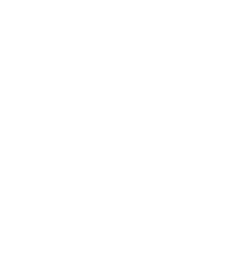 Nimeni nu e perfect, dar șoferii de dube sunt foarte aproape model negru pe tricou