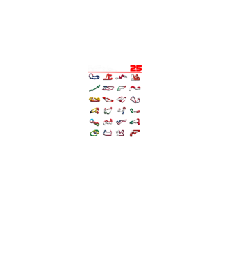 F1 calendar 2025 Negru model negru pe tricou