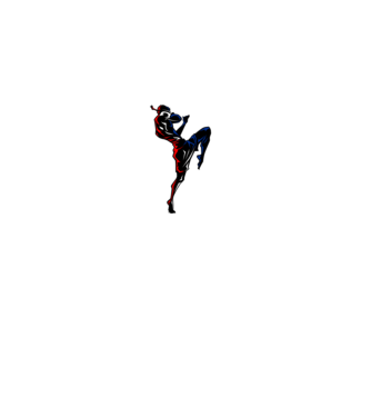 Muay Thai model negru pe tricou