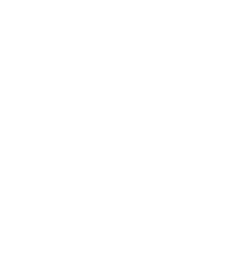 Așa arată un stăpân de Border Collie foarte chipeș model negru pe tricou