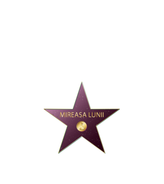 Mireasa lunii model albastru închis pe tricou