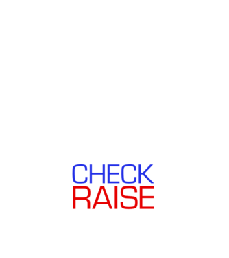 Check Raise model albastru închis pe tricou