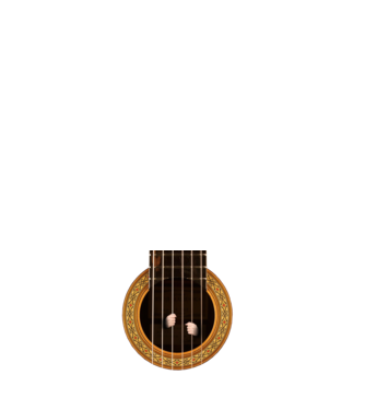 Guitar prison model negru pe tricou