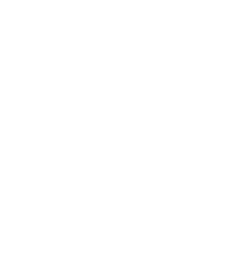 Crazy Cat Ladies are born in December model negru pe tricou