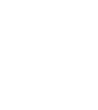 Zidarul model negru pe tricou