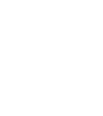 Bunicdidas model alb pe tricou