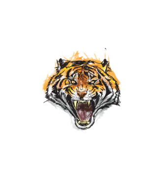 m-am născut liber model alb pe tricou