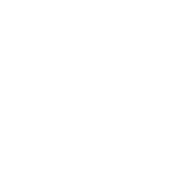 All men are created equal but only the best are born in february model alb pe tricou