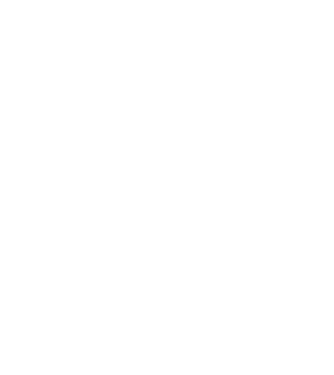 Crazy Cat Ladies are born in November model negru pe tricou