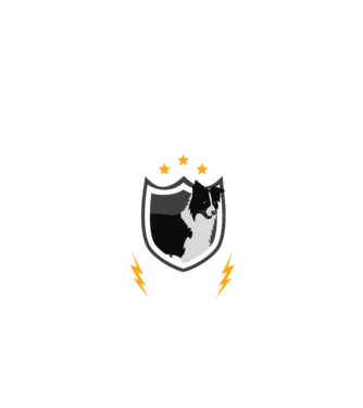 serviciu de securitate - securitate - persistență - 24 de ore pe zi model negru pe tricou
