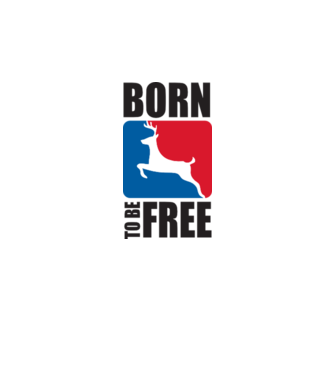 born to be free model gri pe tricou