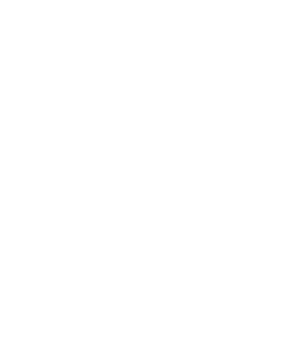 LOVE Havanese model turcoaz pe tricou