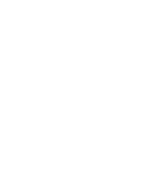 LOVE Border Collie model negru pe tricou