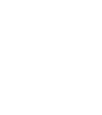 All men are created equal but only the best are born in november model negru pe tricou