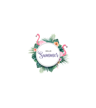 Hello summer model alb pe tricou