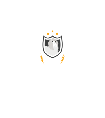 serviciu de securitate - securitate - persistență - 24 de ore pe zi model negru pe tricou