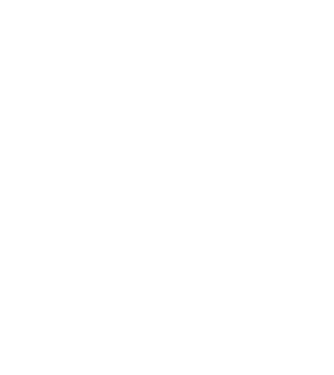 Programmer model verde pe tricou