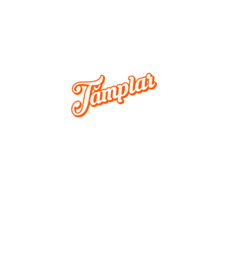 Cel mai bun TÂMPLAR din lume model negru pe tricou