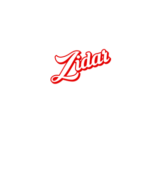 Cel mai bun ZIDAR din lume model negru pe tricou