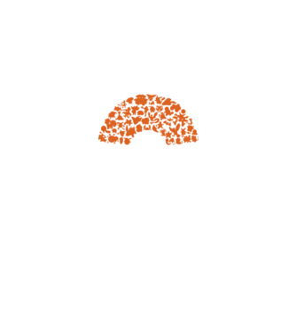 Pokeball model negru pe tricou