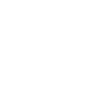 Camion 2. model turcoaz pe tricou
