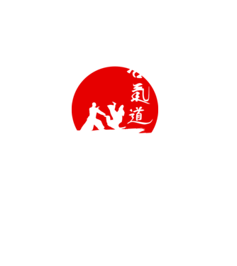 Aikido model negru pe tricou