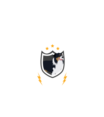 serviciu de securitate - securitate - persistență - 24 de ore pe zi model negru pe tricou
