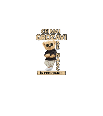 Teddy cel cool februarie model negru pe tricou