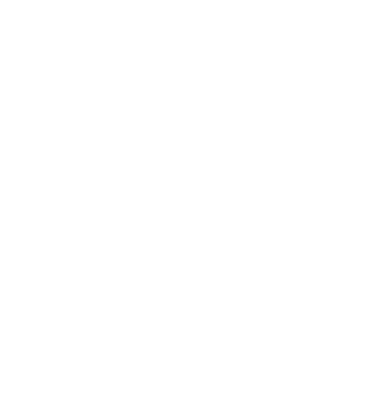 Freedom model albastru regal pe tricou