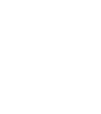 chitară evolution model negru pe tricou