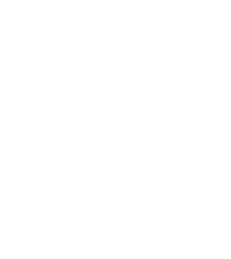 LOVE Border Collie model negru pe tricou