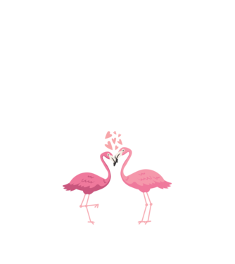 FLAMINGO ÎNDRĂGOSTIȚI model alb pe tricou