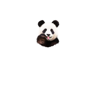 Panda face model alb pe tricou
