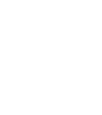 Crazy Cat Ladies are born in February model negru pe tricou