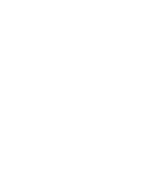 Zidarul model negru pe tricou